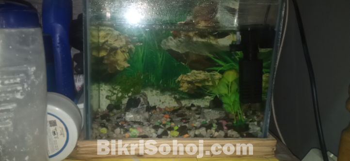 Fish tank